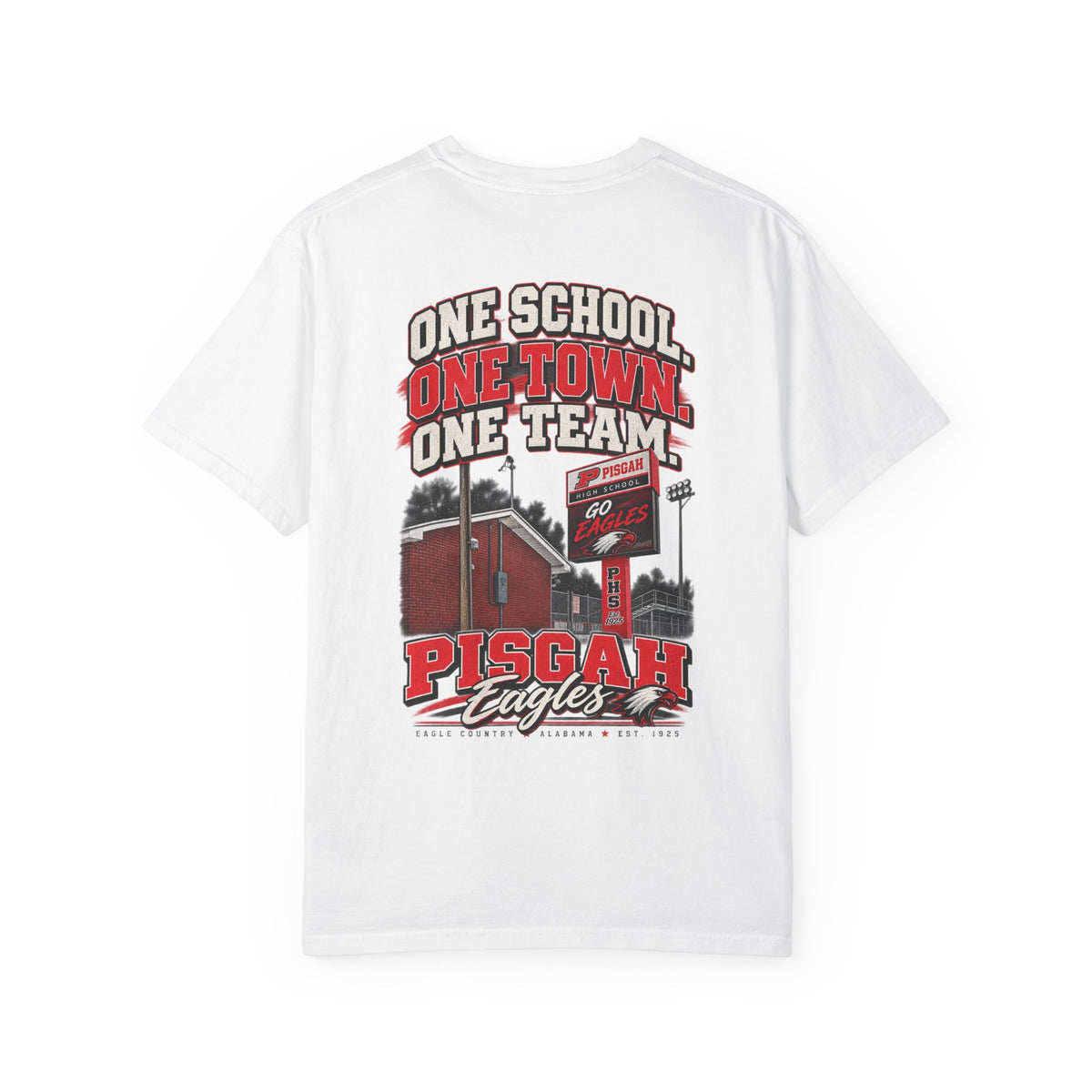 Pisgah Eagles One School One Town One Team Tee