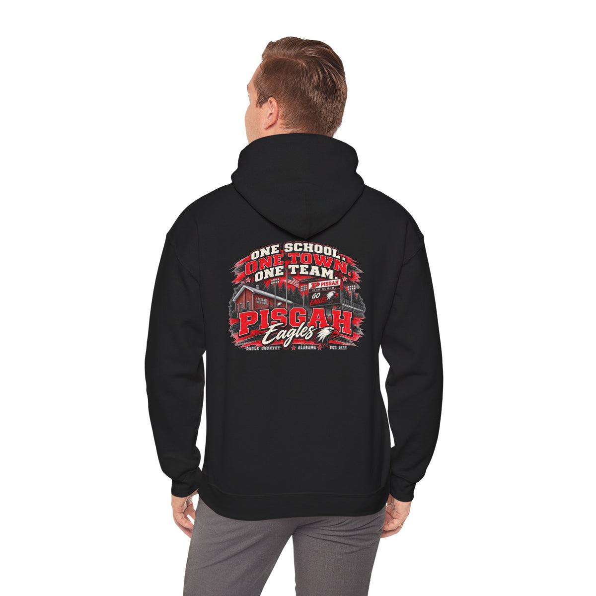 Pisgah Eagles One School One Town One Team Hoodie