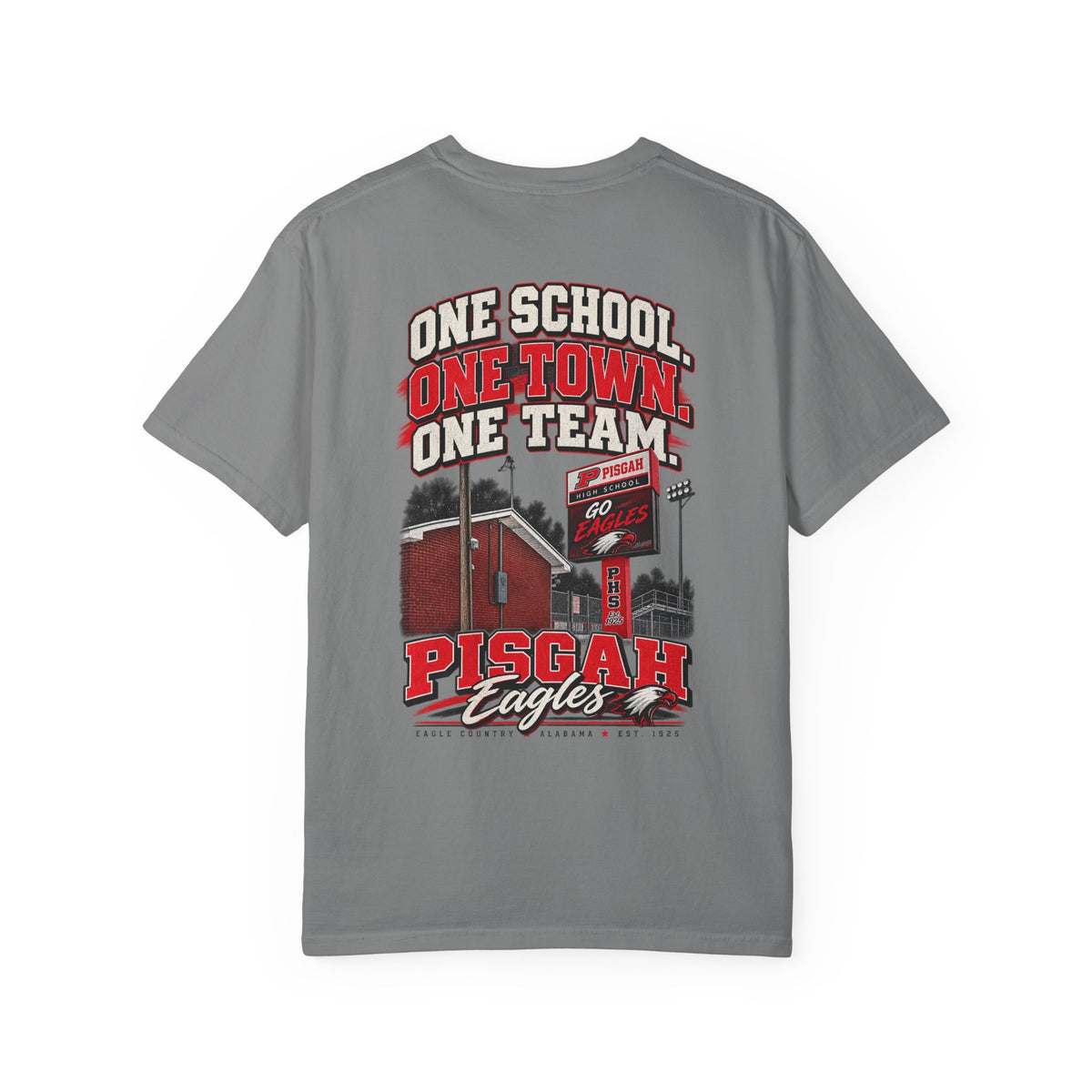 Pisgah Eagles One School One Town One Team Tee