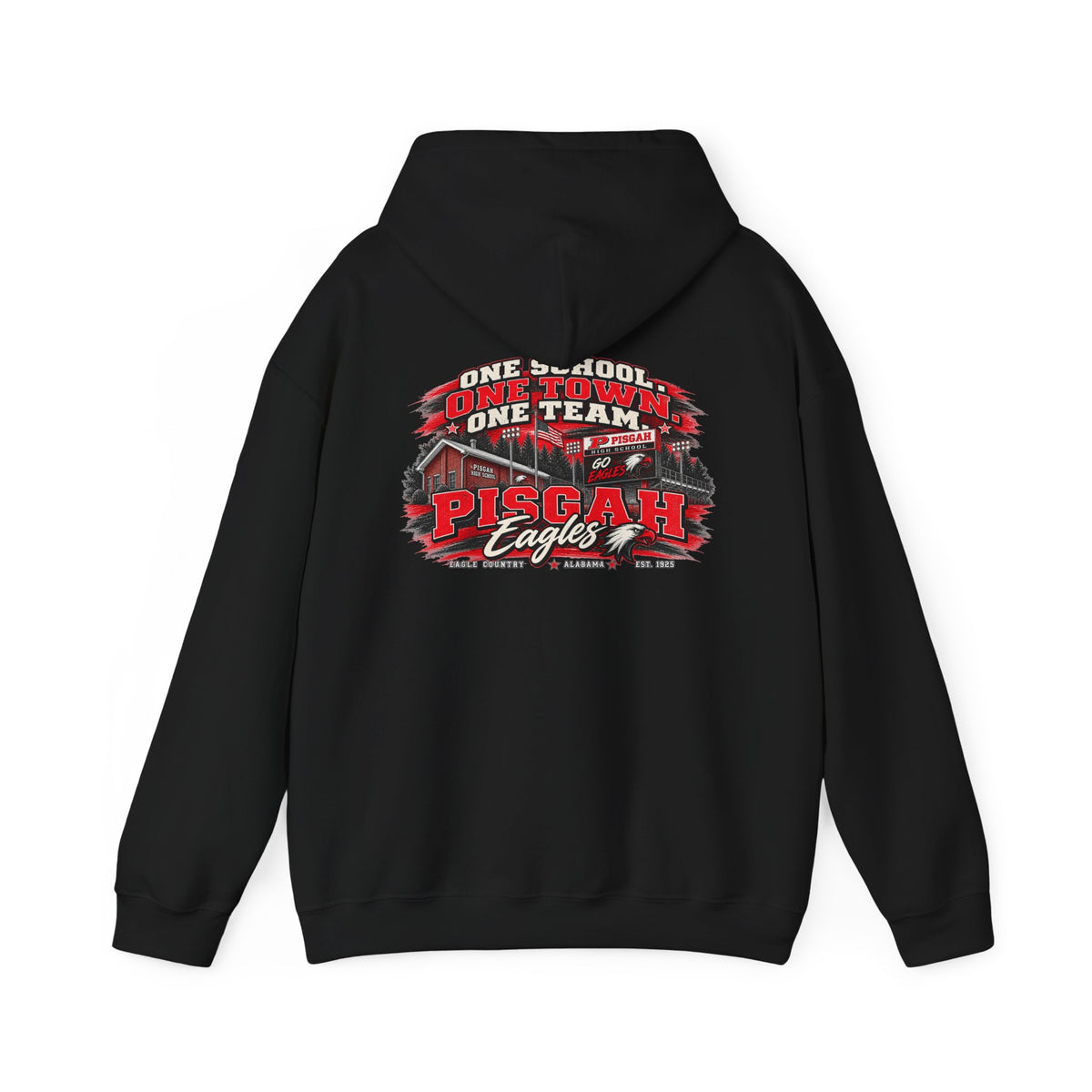 Pisgah Eagles One School One Town One Team Hoodie
