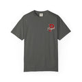 Pisgah Eagles No Red Lights Baseball Tee