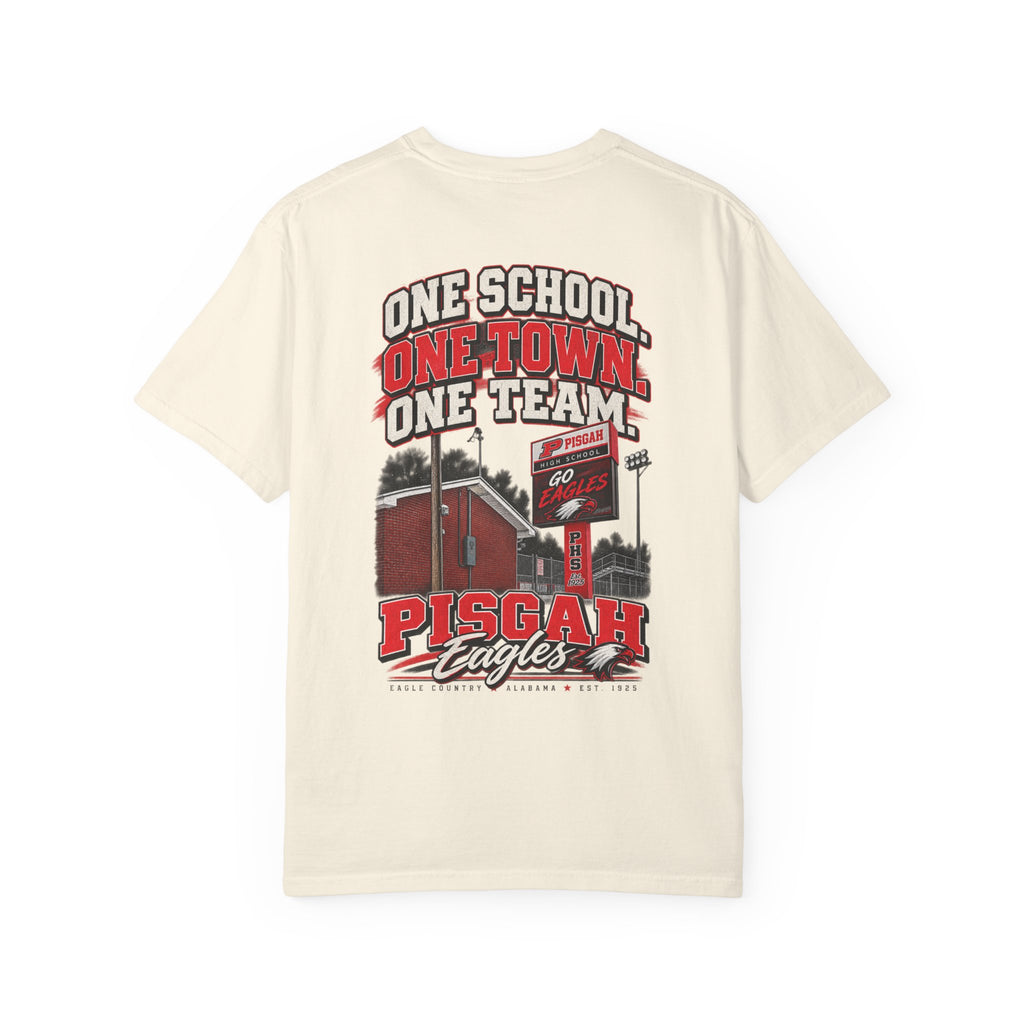 Pisgah Eagles One School One Town One Team Tee