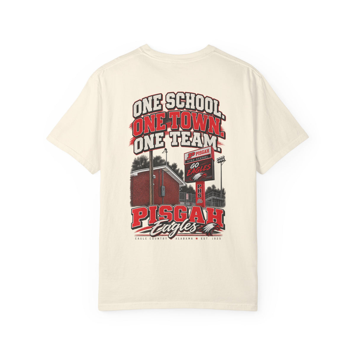 Pisgah Eagles One School One Town One Team Tee