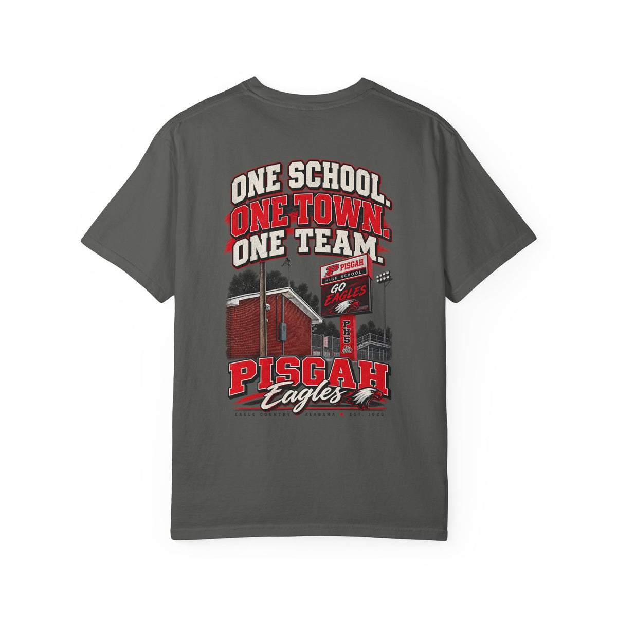 Pisgah Eagles One School One Town One Team Tee