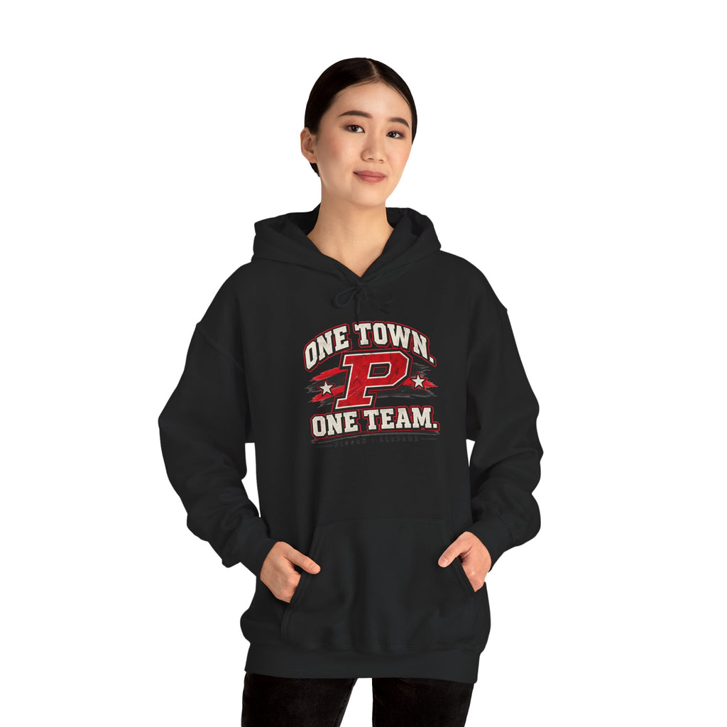 Pisgah Eagles One School One Town One Team Hoodie